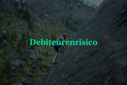 Debiteurenrisico definities